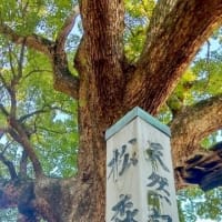 明けましておめでとうございます🎍