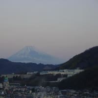 絵に描いたような富士山