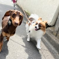 怖くないよ、大丈夫😊