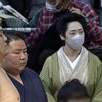 大相撲九州場所終盤、優勝争い混沌