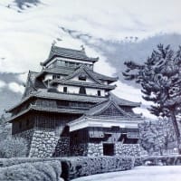 日本の国宝の城をボールペンで描く