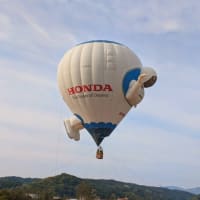 熱気球がいっぱい😊～2025GW長野旅行⑱