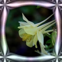 大人しく