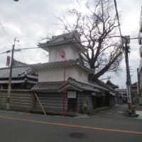 難宗寺のイチョウ