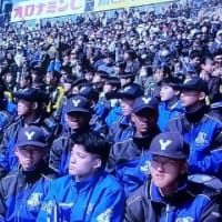 センバツ高校野球が始まりました❗️
