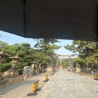 日傘使ってます╰(*´︶`*)╯♡