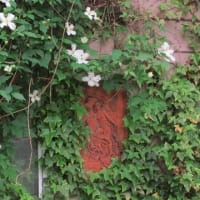 今年ニ度目の芝刈り