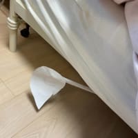 ステイホームを楽しんでいます