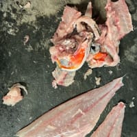 昼ごはん