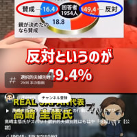 選択的夫婦別姓は半分反対