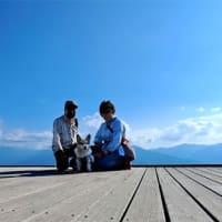 涼を求めて久しぶりの車山高原一泊の旅　その３