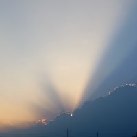 真夏のような暑さ