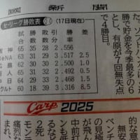 ＜⚾ 交流戦 ⚾＞カープ vs. ソフトバンク（２回戦）