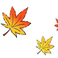 もみじ 紅葉 イラスト