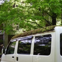 エスディージーズな車