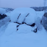 新潟県国道8号線立往生の件