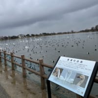 終わる新発田地域振興局長の私案(その3)