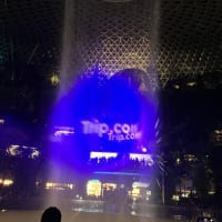 Trip.com シンガポールで積極的なプロモーション