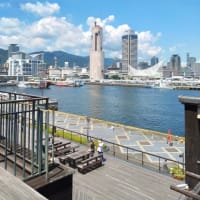 海と山