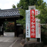 引っ越し先　はてなブログ