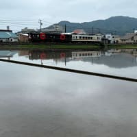 水田に映る肥薩おれんじ鉄道