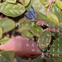 春の予感
