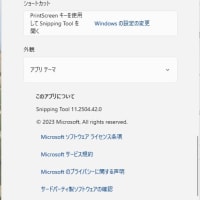 Microsoft 365 Copilot 、Paint 、Snipping Tool 、Windows Notepad  のアップデートが同時に降りてきました。