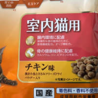 がっつく美味しさ❓､､､なのか。