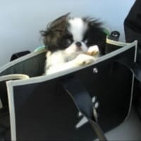 引っ越し完了♪お世話になりました