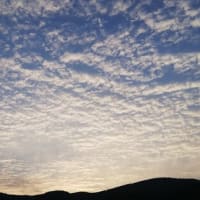 今日は長閑で春めいた