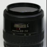 第271沼】Nikon NIKKOR-H Auto 28mm F3.5 これいいね