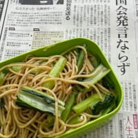 事故 と 和風 spaghetti (其の二) ・・・・・!!!!????   　　　　　№ 10,480
