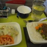 食べ物編　12　ホノルル空港～機内～羽田