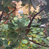 転院して3ヶ月