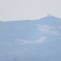 田圃をトラクターで起す