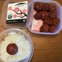 「ご飯と梅干し」