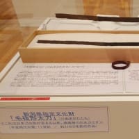 栃尾美術館へ前九年、後三年の役の頃の錆びた「毛抜形太刀」を見に行く