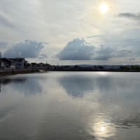 夕方散歩
