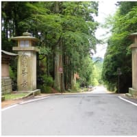 ウォーキング　町石道　