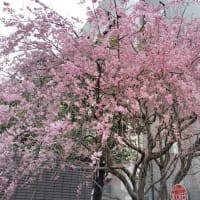 もうすぐ5月