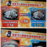 腸活シン常識