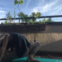 yoga