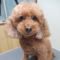 明日からまた晴れて暑くなる！？
