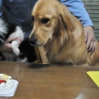 誕生祝他