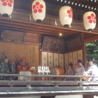今年も調布・布多天神社の夏越大祓式・茅の輪くぐり神事