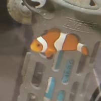 我が家の家族