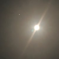 十三夜の月パワーで月光浴