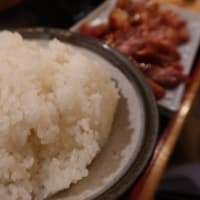 【京都発幕間旅情】榛名さんの総監部グルメ日誌-岐阜,岐阜市茜部-ランチタイムのお手頃焼き肉