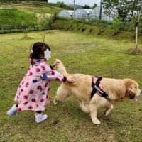 有馬・びわこツアー（１）