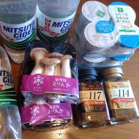 と言いつつ、買い物に行く～。